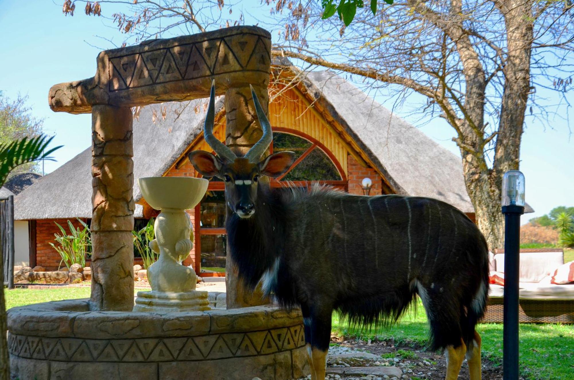 Ditholo Game Lodge Bela Bela Exterior foto